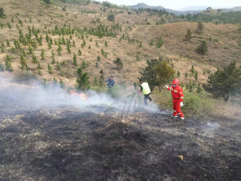 图片7.png